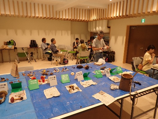 観察会の記録写真 10